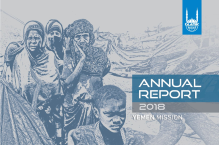 Informe Anual de Yemen 2018