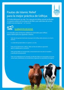 Pautas para la mejor práctica de Udhiya
