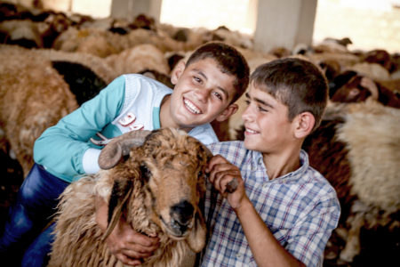 Niños sonriendo con una cabra