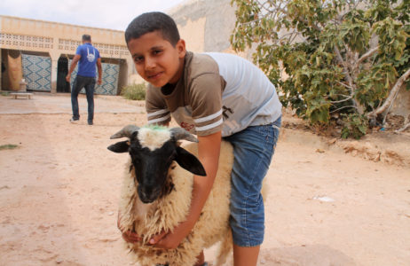 Niño abrazando un cordero