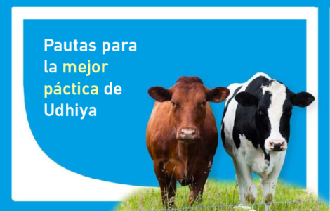 Pautas para la mejor práctica de Udhiya