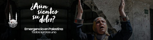 Emergencia en Palestina