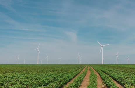 Molinos de viento