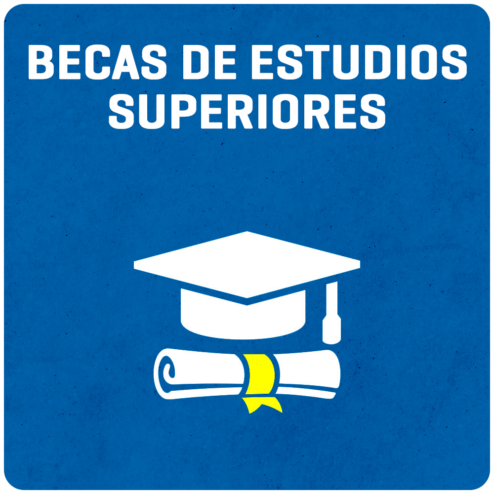 Becas para estudios superiores