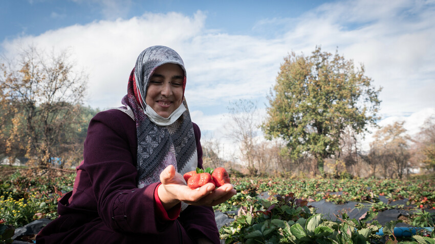Hana cultiva fresas tras recibir entrenamiento y material de Islamic Relief.