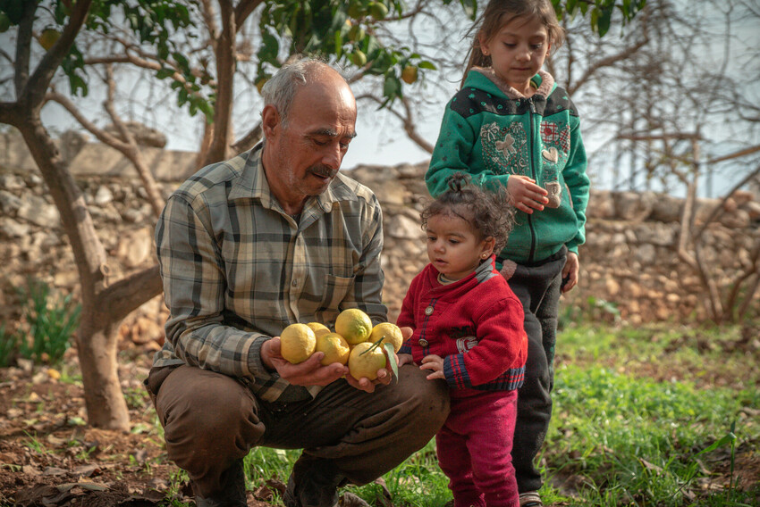 Mustafa muestra a sus hijas los limones que ha cultivado utilizando agua de las instalaciones proporcionadas por Islamic Relief.