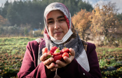 Hana recogiendo fresas