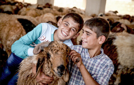 Niños sonriendo con un carnero