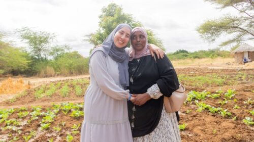 Amina voluntaria de IRS